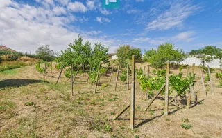 Casă din lemn în Uileacu de Munte – teren 2140 mp - Poză 22