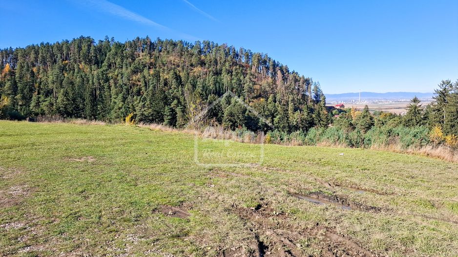 Teren Intavilan I Poiana Angelescu Sacele - Poză 19