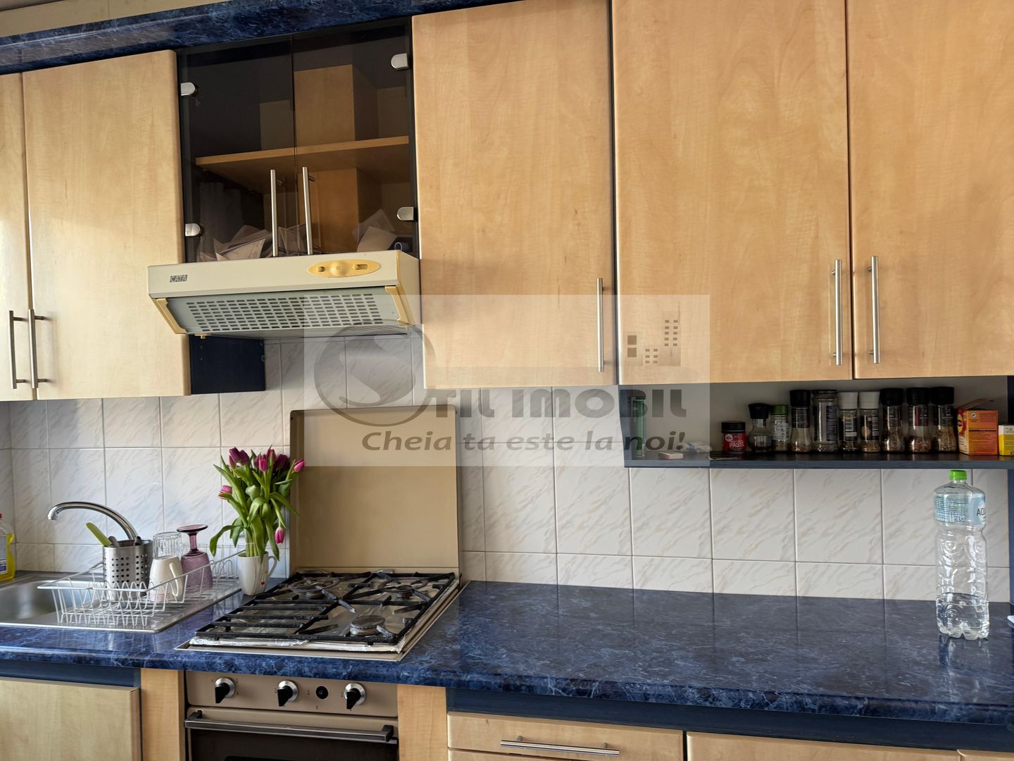 Apartament 3 camere decomandat mobilat Podul Ros 110000 euro - Poză 2