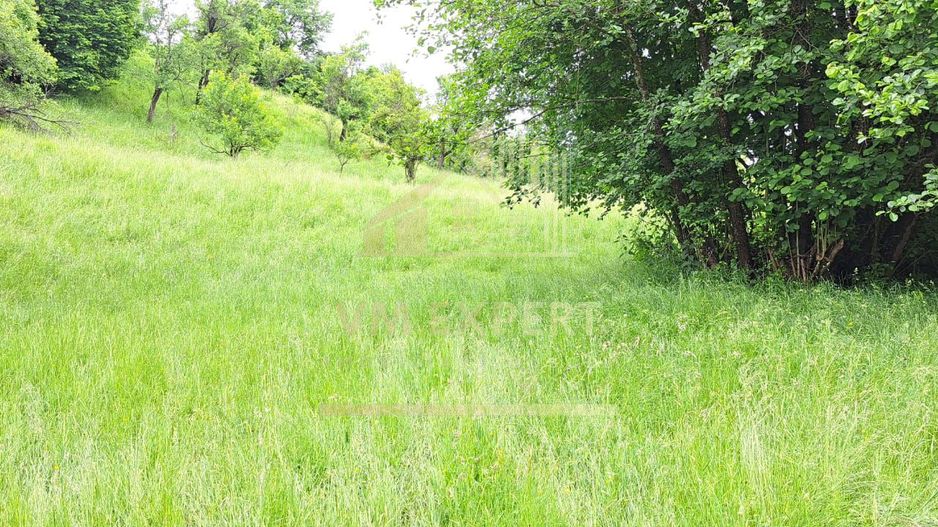 TEREN INTRAVILAN 2500 MP, BUGHEA DE JOS - Poză 3