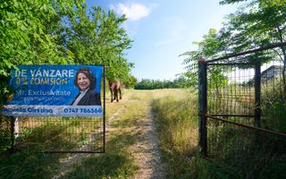 Teren Intravilan 1100 mp + Anexă 120 mp - Budeasa, Calotesti! - Poză 13