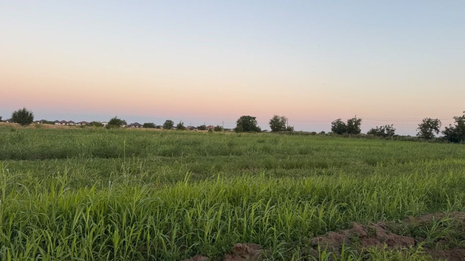 Ideal Investitie - Str Ctin Brancoveanu, zona noua, intravilan in noul PUG - Poză 13
