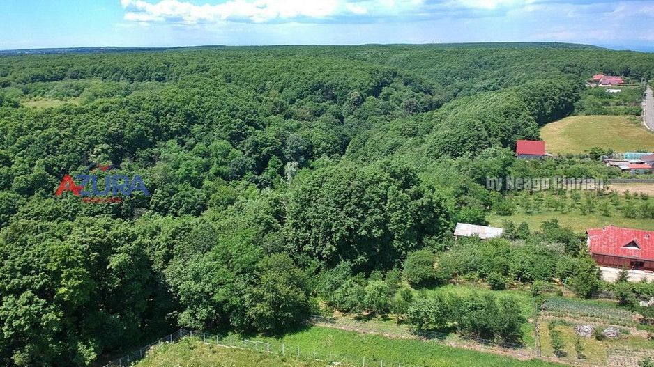 AZURA Imobiliare Pitesti - Casa de Vanzare Dealu Viilor - Poză 38