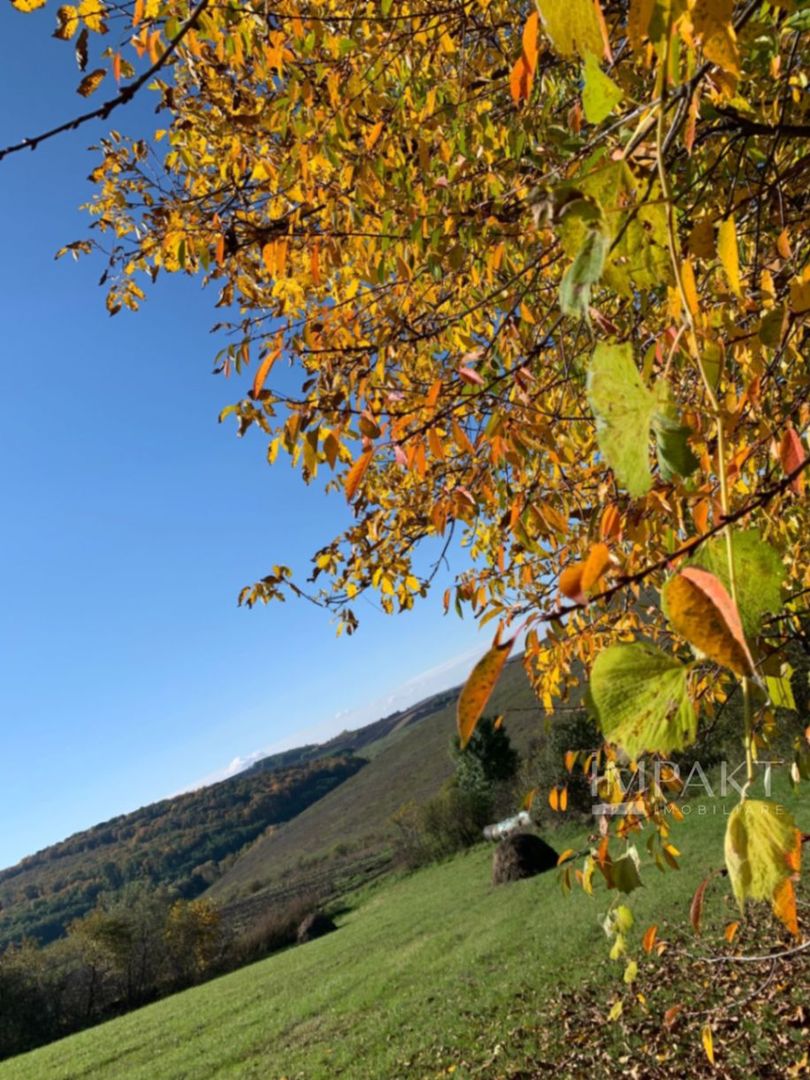 De vânzare casă + teren 30 ari - Silivașu de Câmpie, - Poză 1