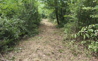 Teren intravilan Mosoaia - Hintesti - Poză 3