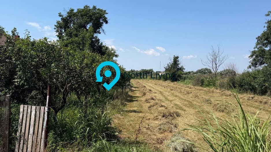 Teren intravilan 4.000 mp Comana (Budeni) | 10 €/mp negociabil | Comis - Poză 8