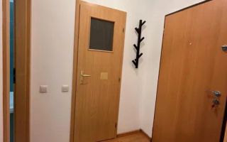 Apartament 1 camera, zona str Oasului cu Maramuresului - Poză 8