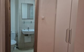 Apartament 2 camere Dristor Park Lake - Poză 11