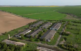 Oportunitate Investiție – Fermă 9,5 Ha cu 10.000 mp Construcții - Poză 7