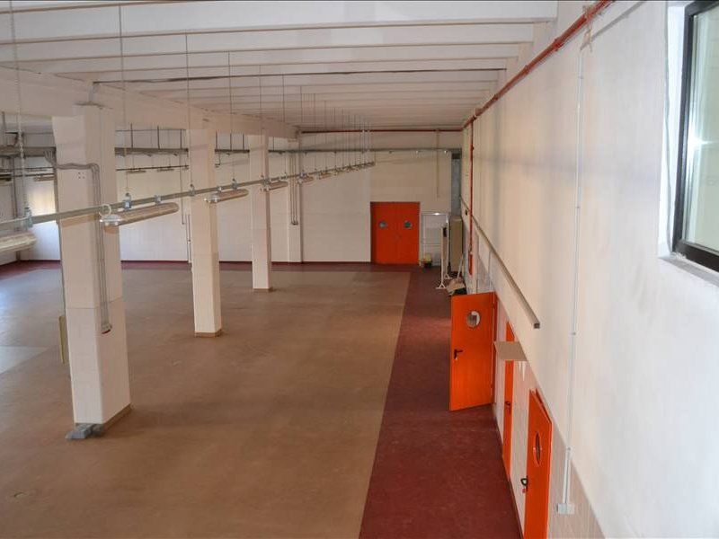 Hala de vanzare in zona Torontalului - Poză 8