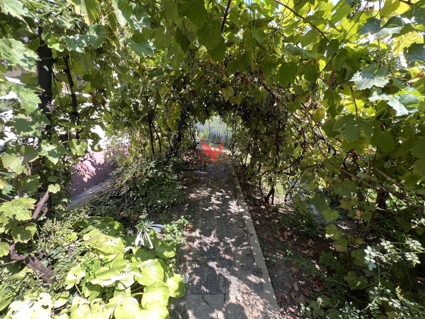 Teren + Casa zona Agronomie - Poză 13