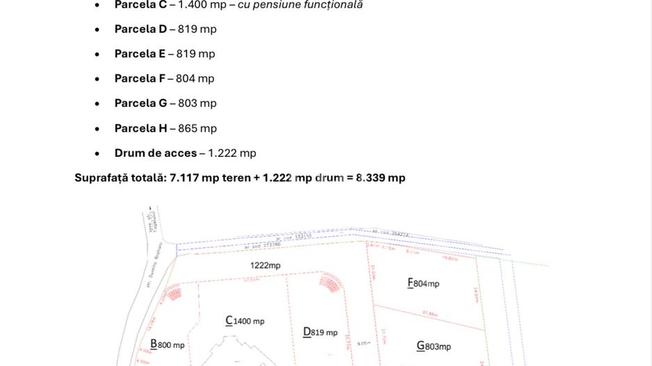 0% comision Teren de 8339 mp cu potențial de investiție Făget - Poză 3