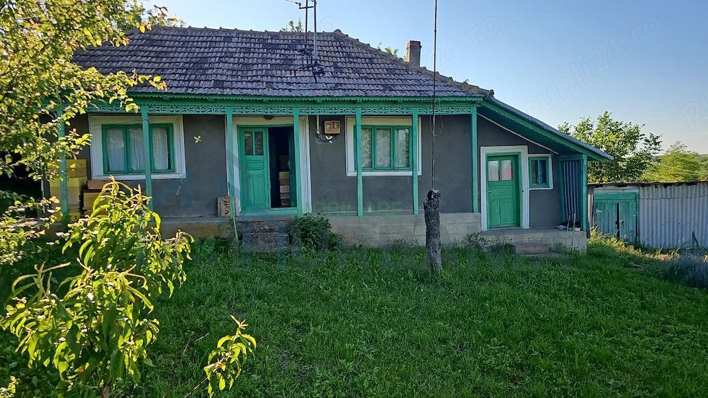 Casă cu teren intravilan de 5000 mp, livadă tânără și vie productivă, în Roșu, comuna Răducăneni, județul Iași - Poză 1