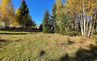 Teren intravilan de 2001 mp în Calatele Padure, comuna Calatele! - Poză 6