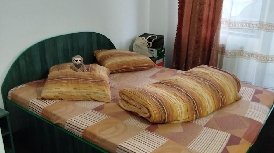 Pensiune + fermă piscicolă (sturion/caviar) | Saru Dornei/Sarisor - Poză 20