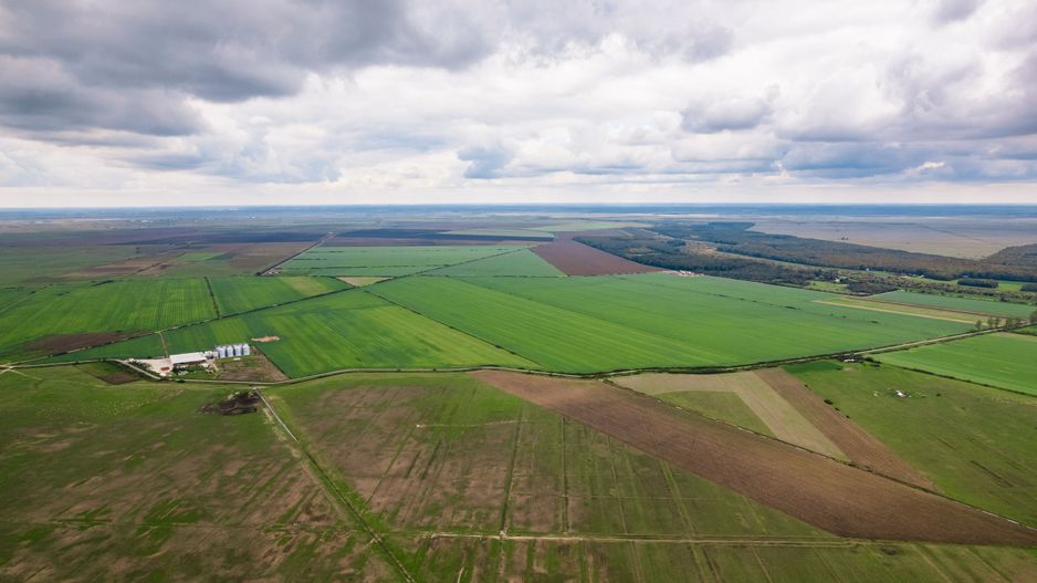 Teren 13500000 mp în Socodor - Poză 10