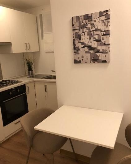 Apartament 2 camere, vedere parc Cismigiu, mobilat, etaj 2 - Poză 5