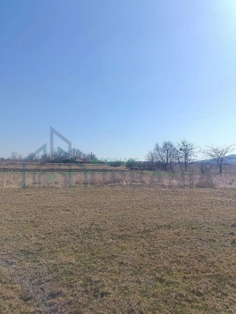 Teren arabil 1 ha în Cilibiu, Golaiesti - Poză 5