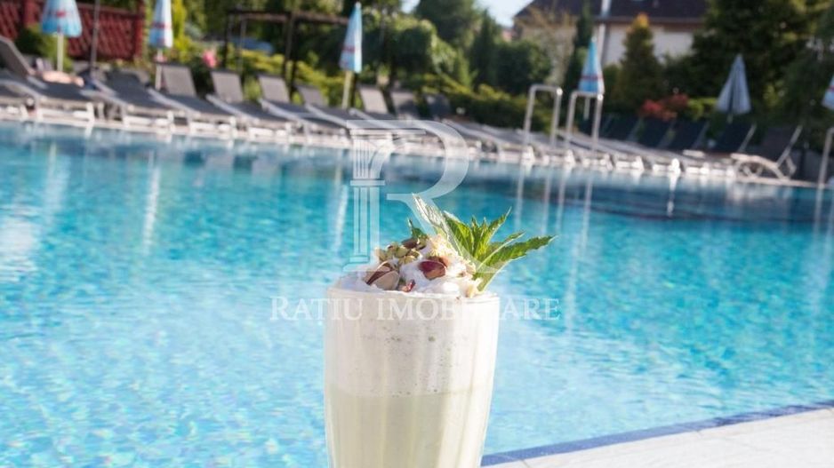 HOTEL SILVER– PRIME HOSPITALITY ASSET 4★ Operational - Poză 16