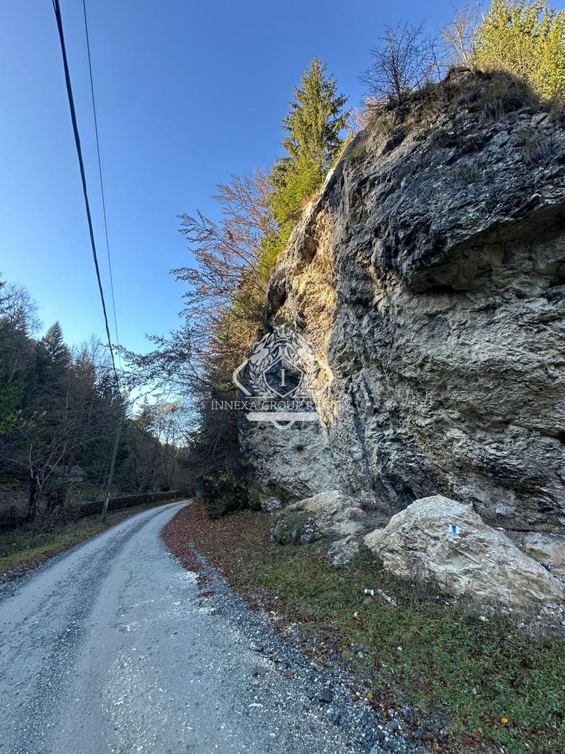 Teren 2.882 mp – oportunitate investitie - Cheile Dâmbovicioarei - Poză 1