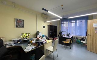 Spatiu bussines de 490mp intr-o vila pe 4 niveluri - Timisoara - Poză 22