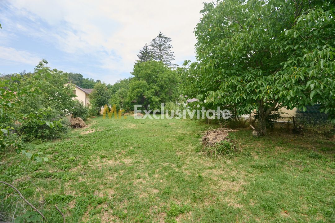 Teren 2240 mp intravilan + casa batraneasca Hintesti-Basangesti - Poză 8