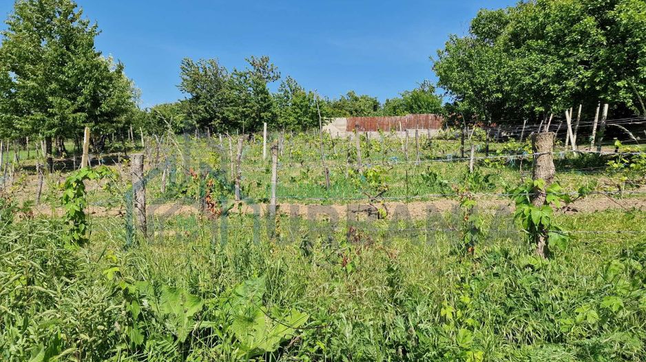 Teren intravilan 1000 mp în Barnova, zona Pietrarie, Iași – ideal pentru proiect rezidențial sau duplex - Poză 3