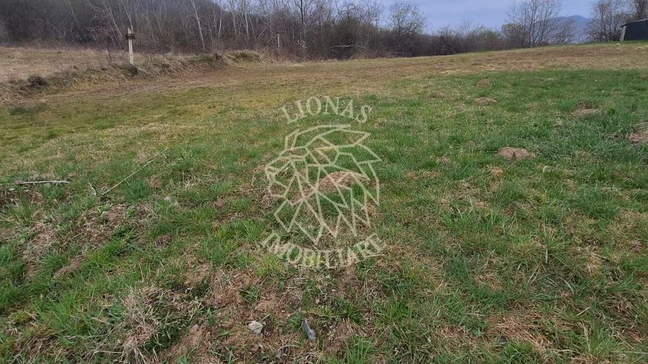 Teren  887 mp cu utilitati - Zona Dealul Jelnei - Poză 1