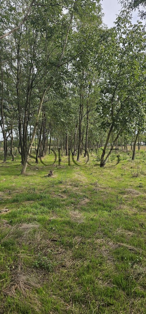 Teren intravilan construibil peisaj de vis - Poză 6