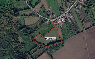 Teren intravilan de vanzare | 11.000 mp | Ghirdoveni | Comision 0% - Poză 1