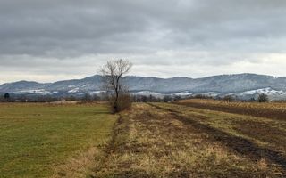 Teren 80 Ari | Vicovu de Sus – Bahna | Front 16.5 - Poză 4