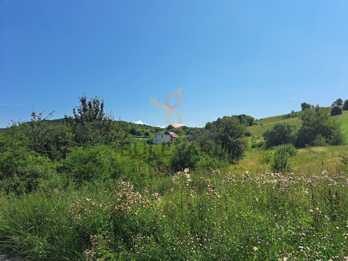 Teren intravilan in Salicea - Poză 4