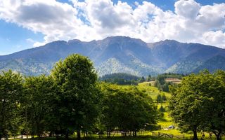 Teren cu priveliște spectaculoasă în Bran – Sohodol - Poză 1