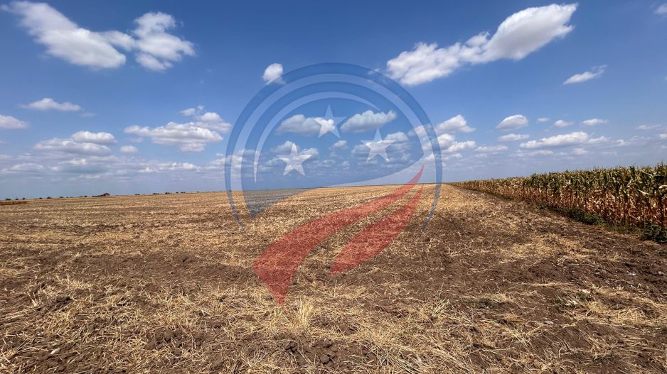 Teren intravilan de vanzare in Pielesti - Poză 5