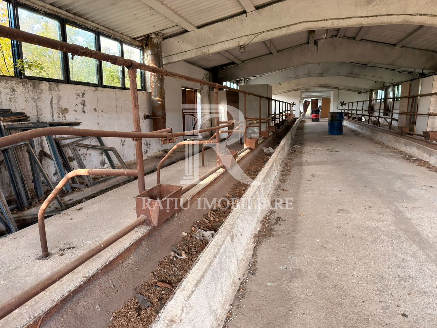 Fermă Sărand | Bihor | 25.659 mp teren intravilan - Poză 11