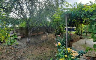 🏡 CASĂ BĂTRÂNEASCĂ LOCUIBILĂ DE VÂNZARE – TRIFEȘTI, IAȘI 🏡 - Poză 6
