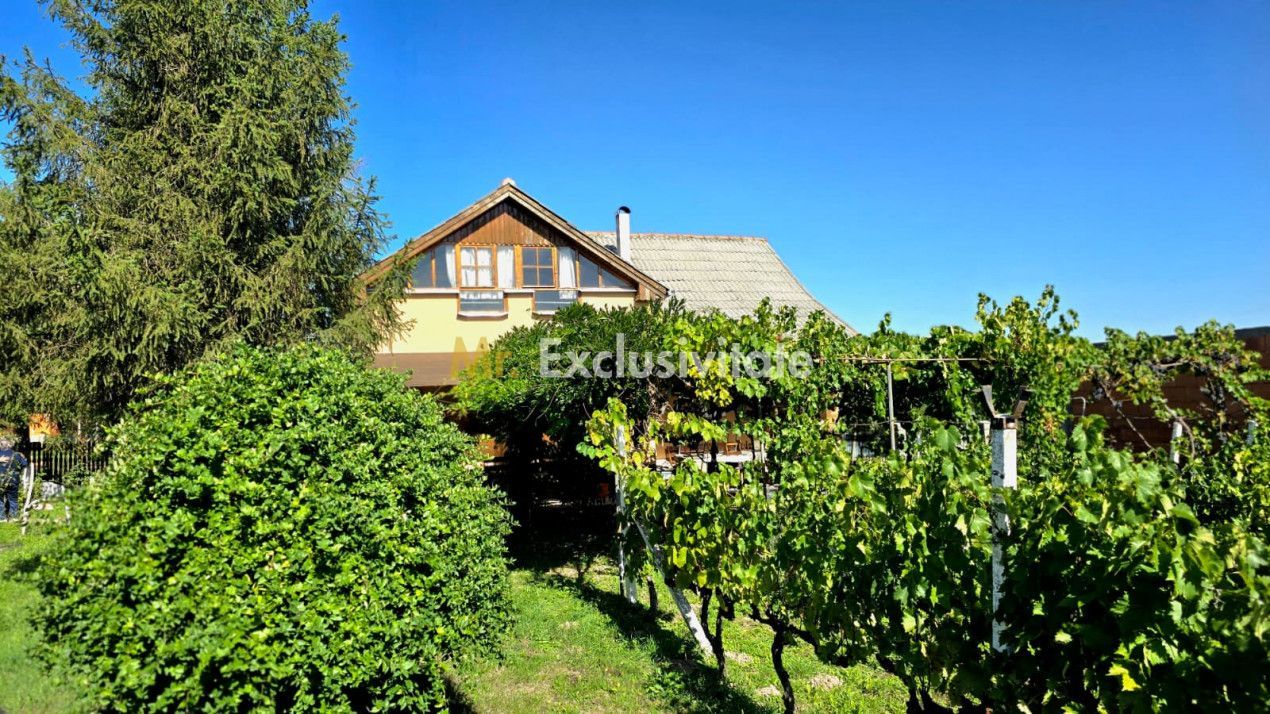 casa 3 camere Viile Satu Mare - Poză 12