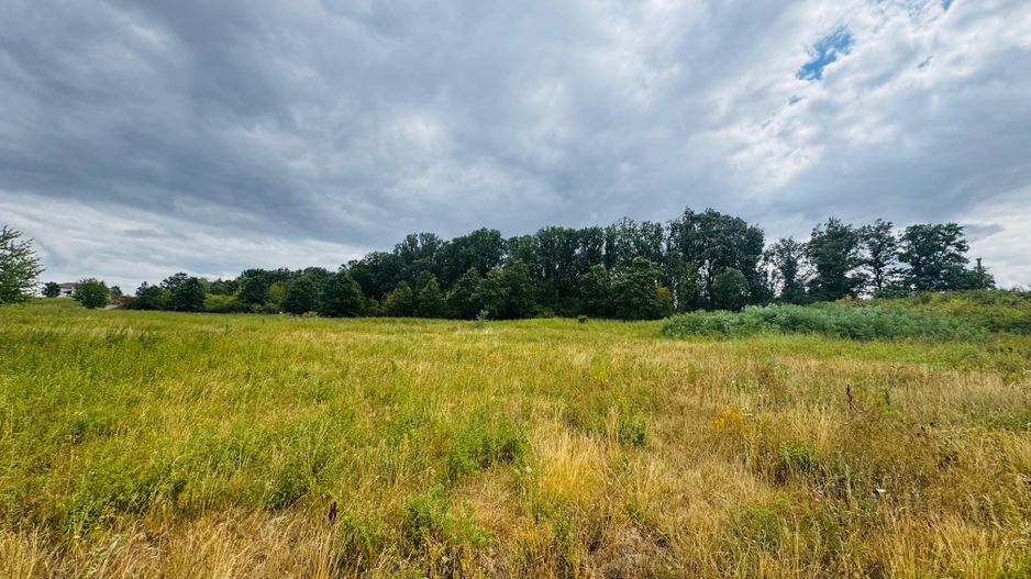 Parcele teren intravilan Paleu - Poză 1