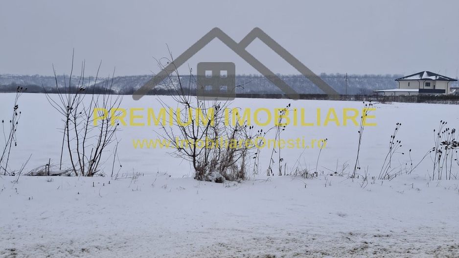 Teren de vânzare – Zona Andrășești – 16.000 mp - Poză 1