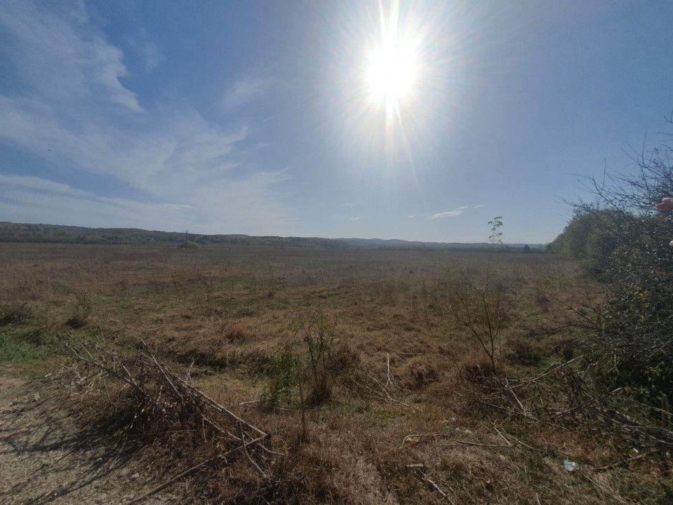 Vanzare teren arabil 22 Ha, plan, Arges, Moraresti - Poză 10