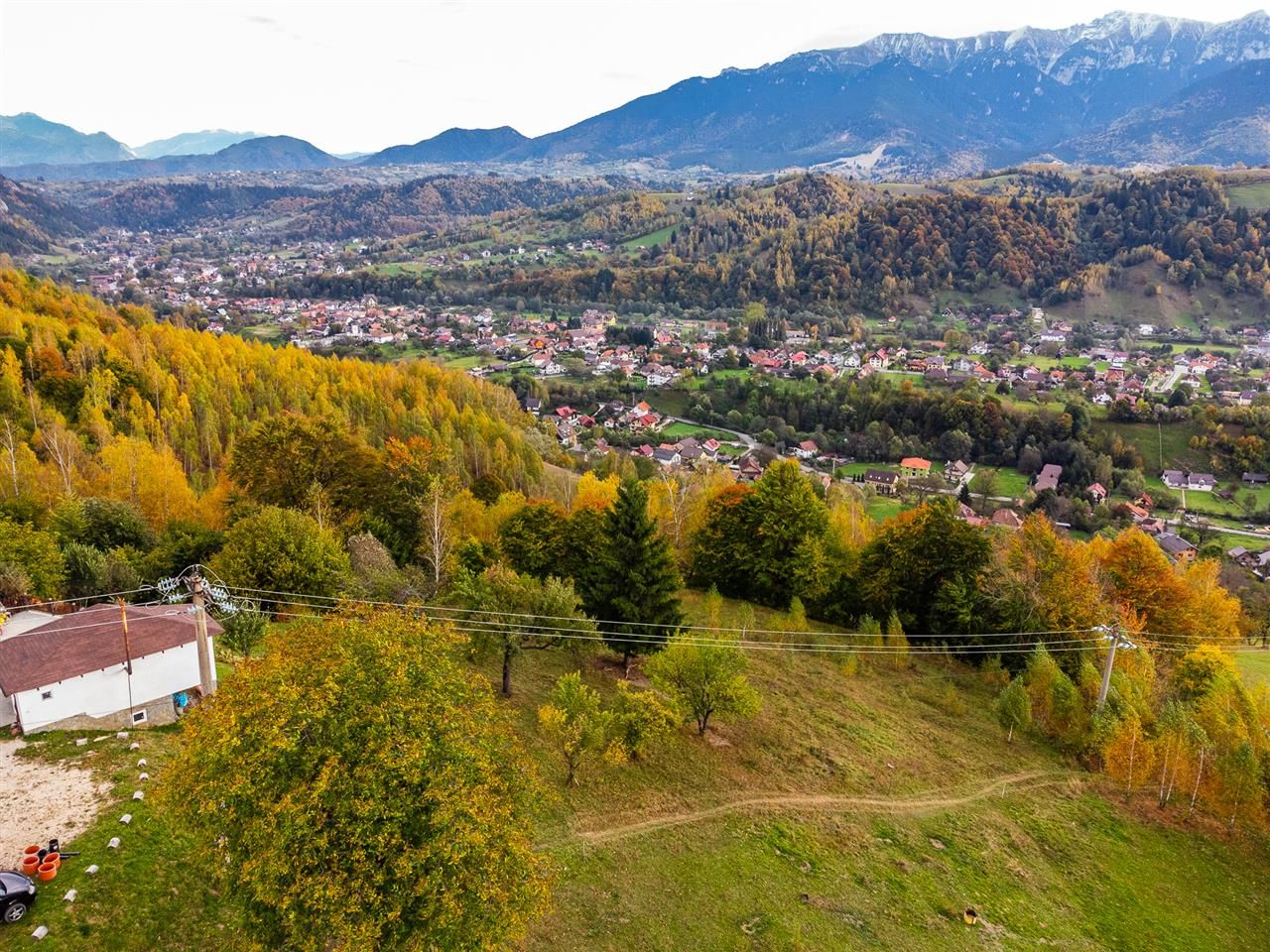 In arena Parcului Natural Piatra Craiului, Magura, Moieciu, Brasov - Poză 1