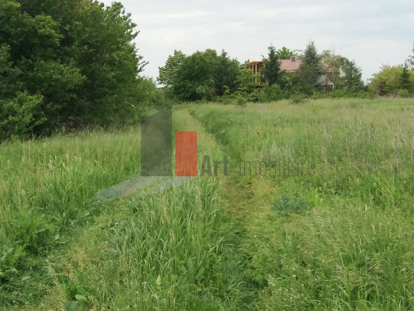 Teren Buftea cu iesire la lac - Poză 23