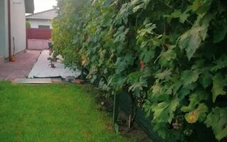 Casa cu garaj in Dumbravita - Poză 12