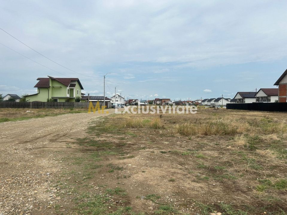 Comision 0% - Teren 10.000 mp - Str. Octavian Goga, Craiovei! - Poză 3