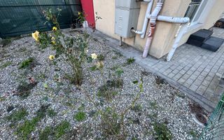 Apartament 3 camere cu terasa, Zona Turnișor - Poză 10