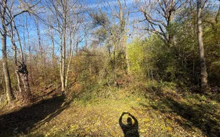 Teren langa pădure 6400mp+casa demolabila-deschidere 35 ml - Poză 13