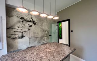 Vila individuală P+2E ***Baneasa - Sisesti - Poză 24