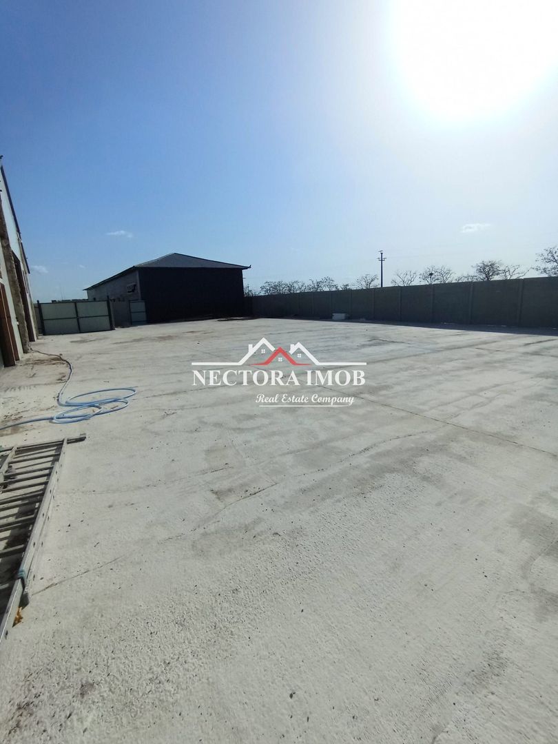 NECTORA IMOB-4 hale industriale noi, Zona Livada de Bihor, Curte mare - Poză 2