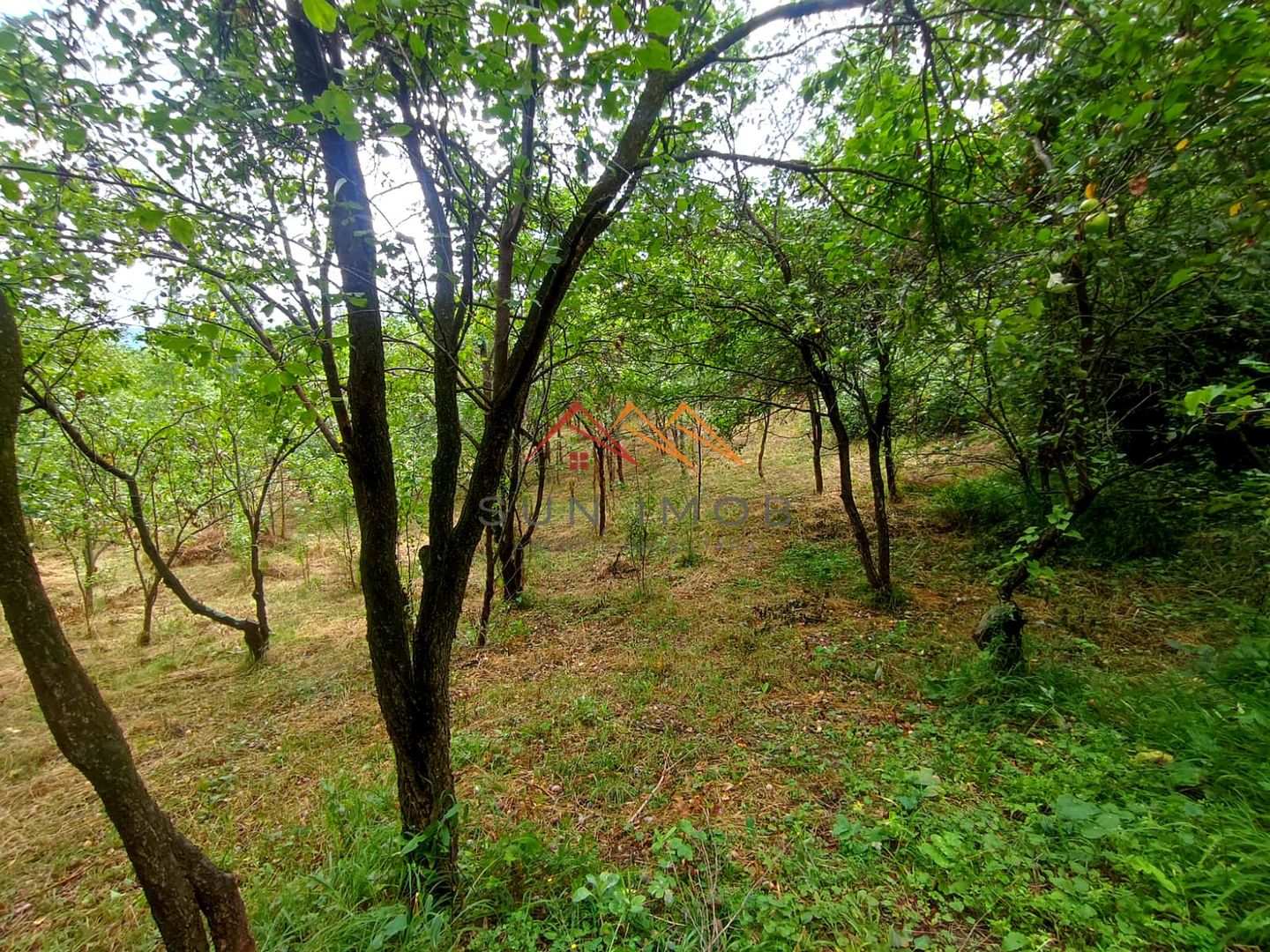 CASĂ DE VACANȚĂ DE VÂNZARE | TELEGA | 1.006 MP TEREN | 85.000 euro - Poză 19