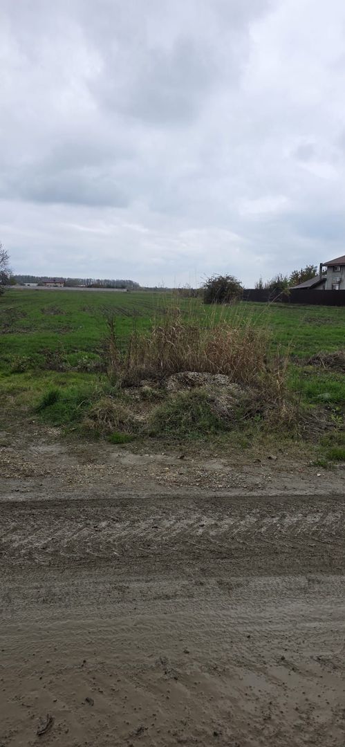 1 DECEMBRIE - TEREN 2500 MP - Poză 3